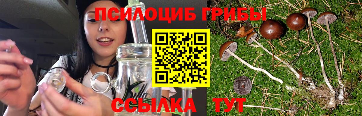 Галлюциногенные грибы прущие грибы Электросталь