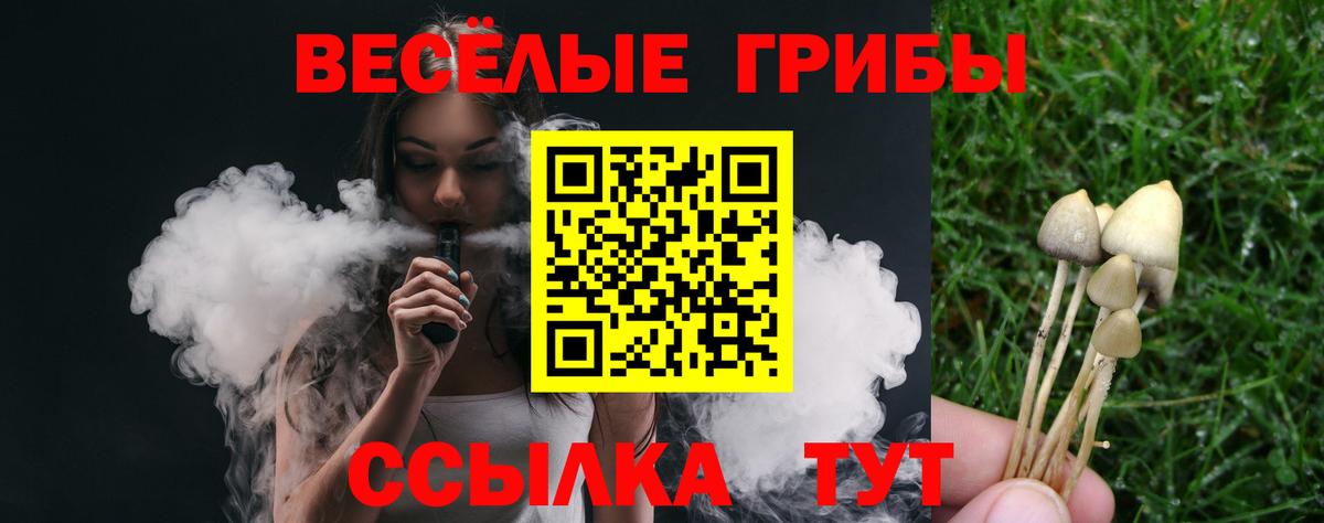 Электросталь  Псилоцибиновые грибы Psilocybine cubensis  Вход с VPN 
